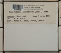 Image Associated With the Occurence